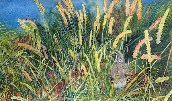 Quail by Jennifer Alexander Watercolors, Image 1.