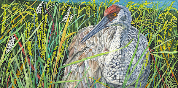 No Borders for Birds by Jennifer Alexander Watercolors, Image 1.