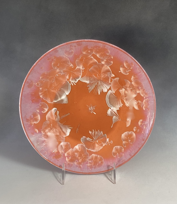 Medium Orange Plate