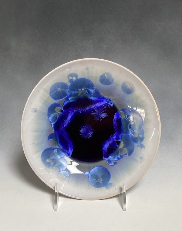 Small Blue Plate by Nichole Vikdal