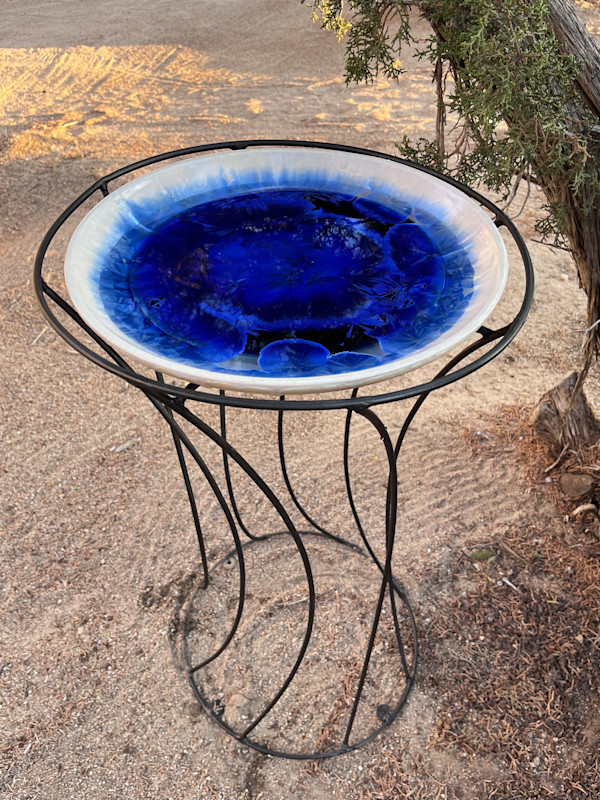 Blue with White Rim Birdbath by Nichole Vikdal