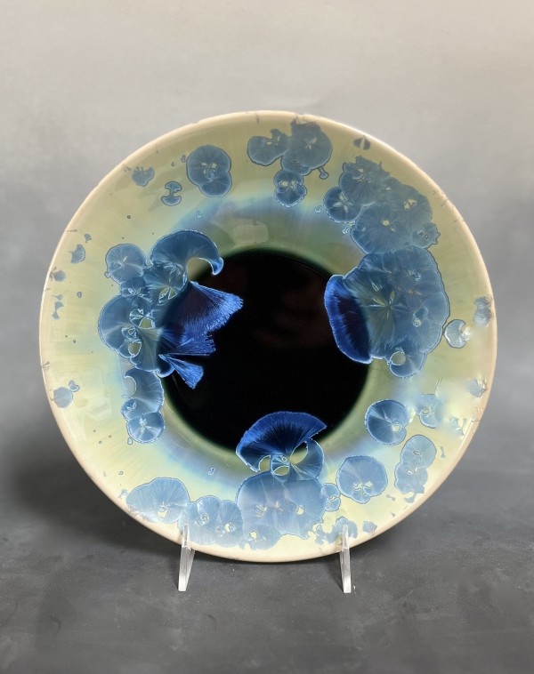 Turquoise Plate by Nichole Vikdal