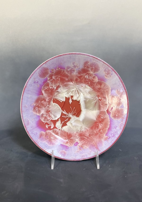 Pink Plate by Nichole Vikdal
