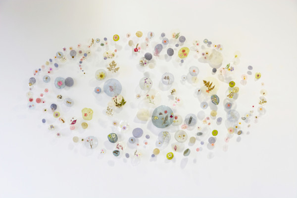 Botanica Lucida No. 1 by Kelly M O'Brien, Image 1.