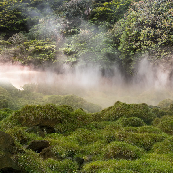 "Beppu Over Iguazu" Japanese hot spring and Brazilian waterfall grass, 2011 by Kerry Shaw