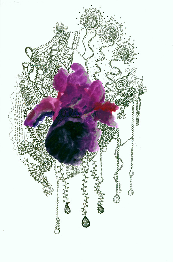 Night Shade Purple Iris by Patricia C Vener
