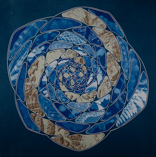 Adornment by Elizabeth Busey