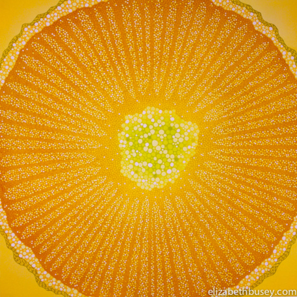 Ambrosia by Elizabeth Busey