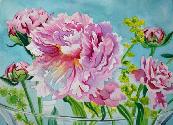 Pink Peony by cathy earle
