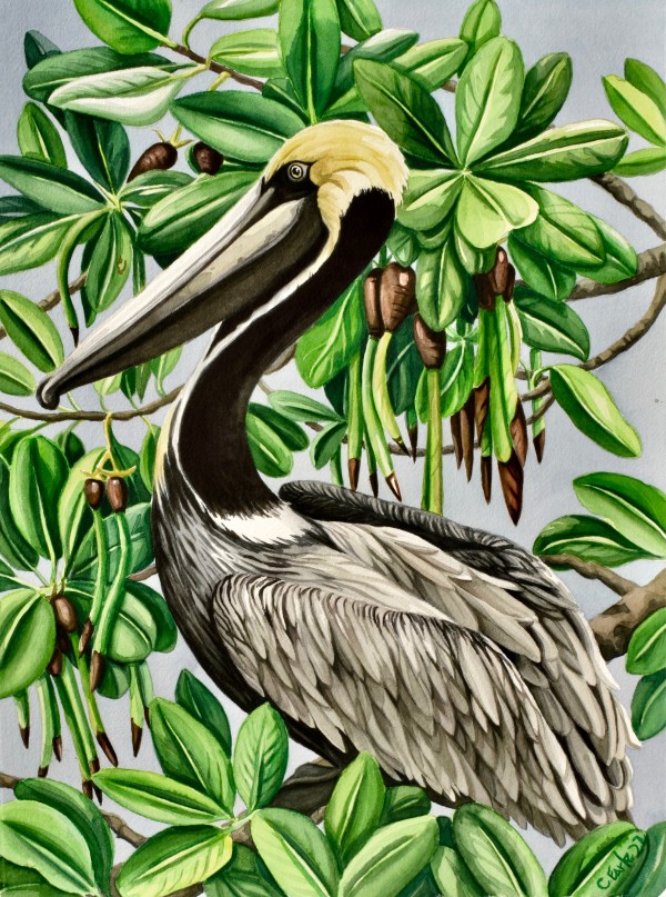 Pelican Grove