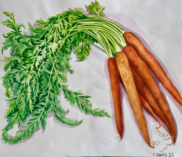 Carrot Tops by cathy earle