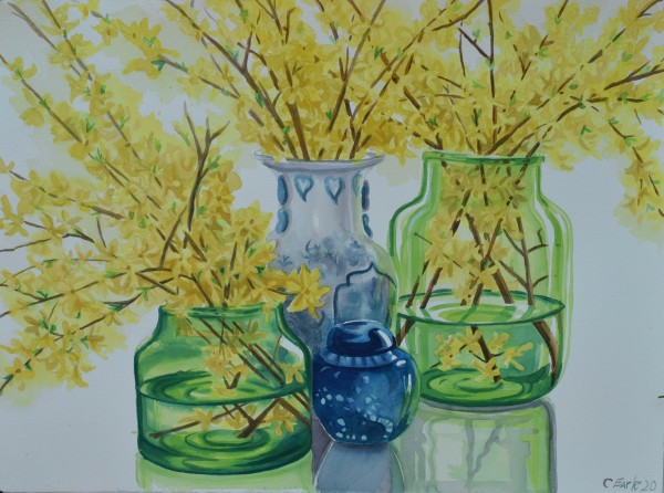 Forsythia Blooms by cathy earle