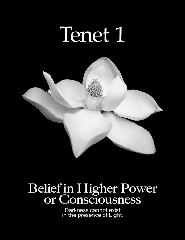 Tenet 1 by Adrienne Fritze