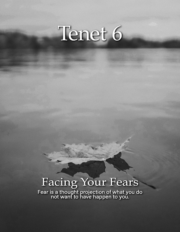 Tenet 6 by Adrienne Fritze