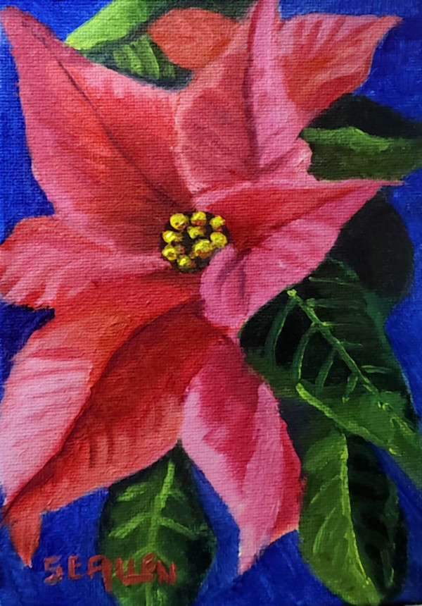 Pointsettia by Sharon Allen