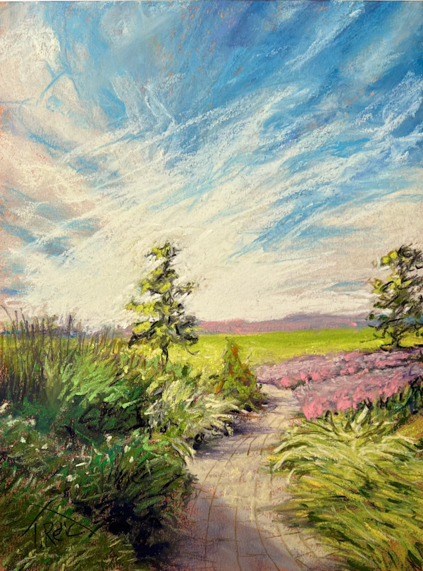 24/231. MAJIC IN THE SKY by Toby Reid