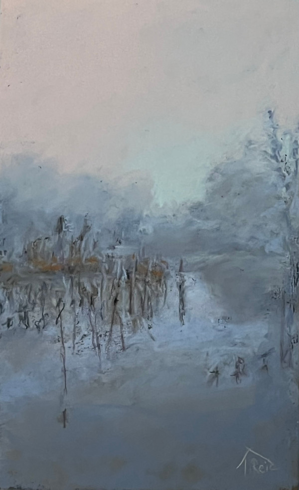 25/07. REEDS IN MIST by Toby Reid