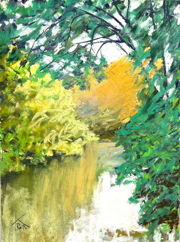25/ e  SLEEPY COLORS ON THE CAHABA by Toby Reid