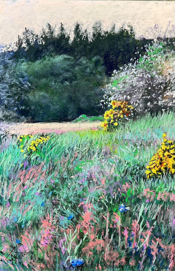 25/h. DANCING COLOR by Toby Reid