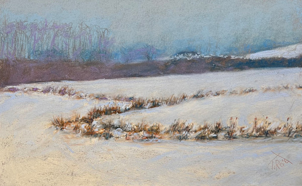 25/16. BRUSH PATTERNS IN THE SNOW FIEKD by Toby Reid