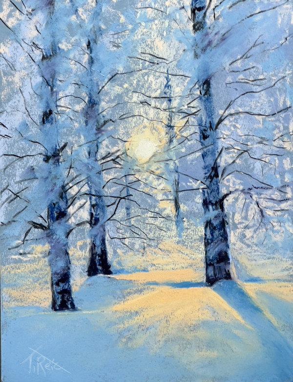 25/23. THE JOY OF THE LIGHT by Toby Reid