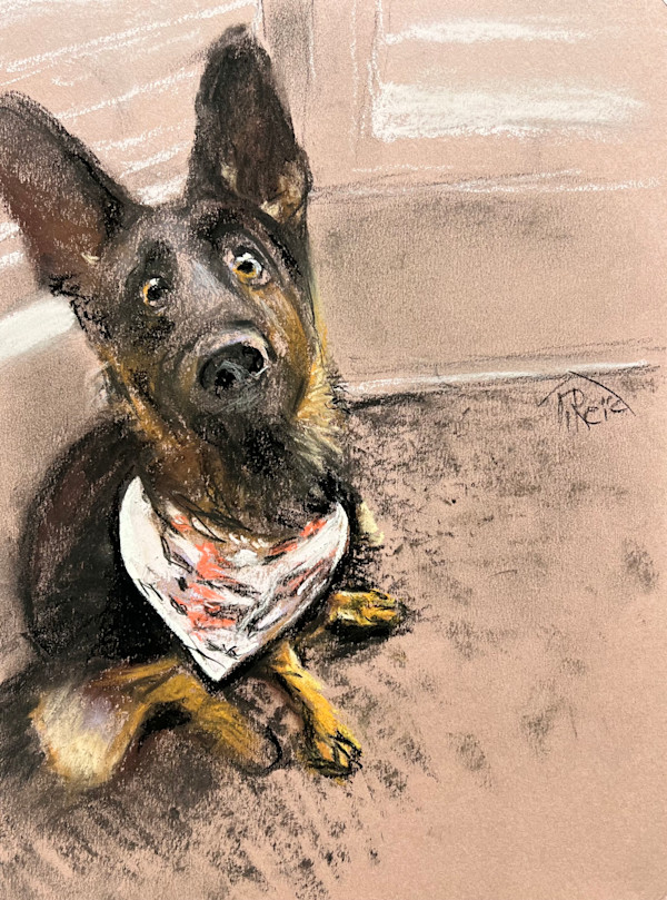 25/n. WHO…ME? by Toby Reid