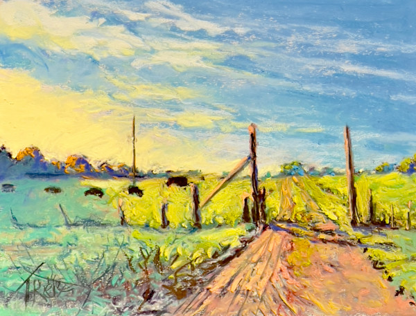 2025/70. COLOR SHIFTS - study by Toby Reid
