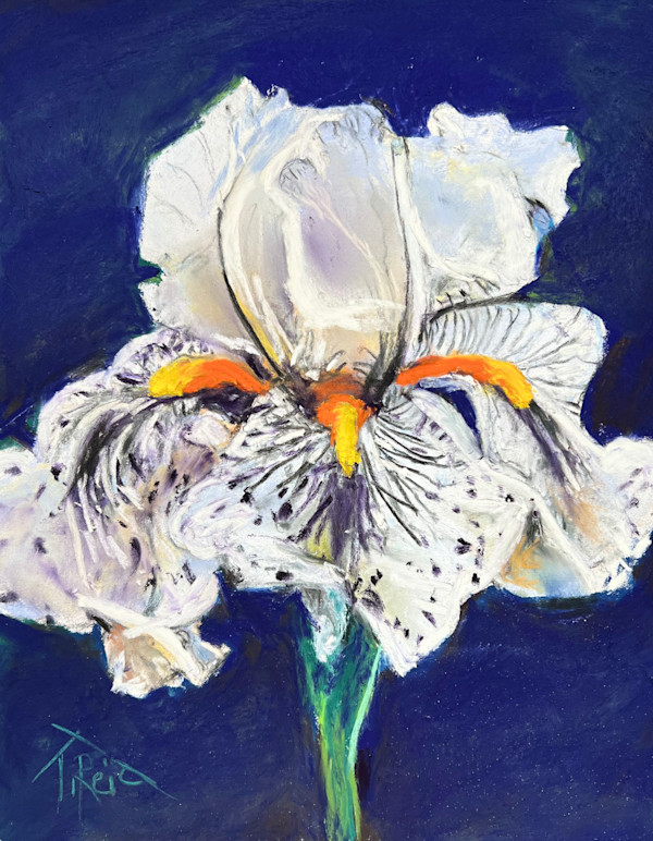 2025/77. GARDEN SURPRISE by Toby Reid