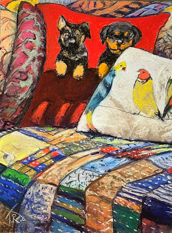 2025/100. Two Pup Pillow by Toby Reid