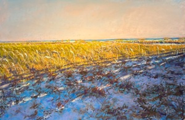 2025/43.  LIGHT PATTERNS ON THE DUNES by Toby Reid