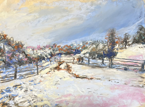 2026/2. TEXAS SNOW by Toby Reid