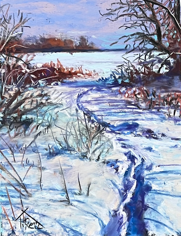 2026/04   Path through the snow by Toby Reid