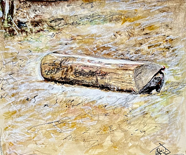 2026/01  Juan’s Sitting Log by Toby Reid