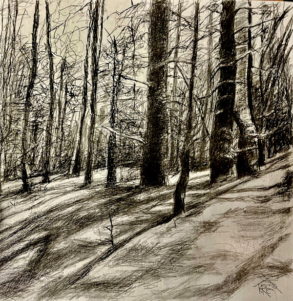 2026/snow. Saturday Snow Day by Toby Reid