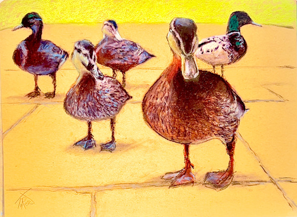 2026/44   Duck, Duck, Duck by Toby Reid, Image 1.