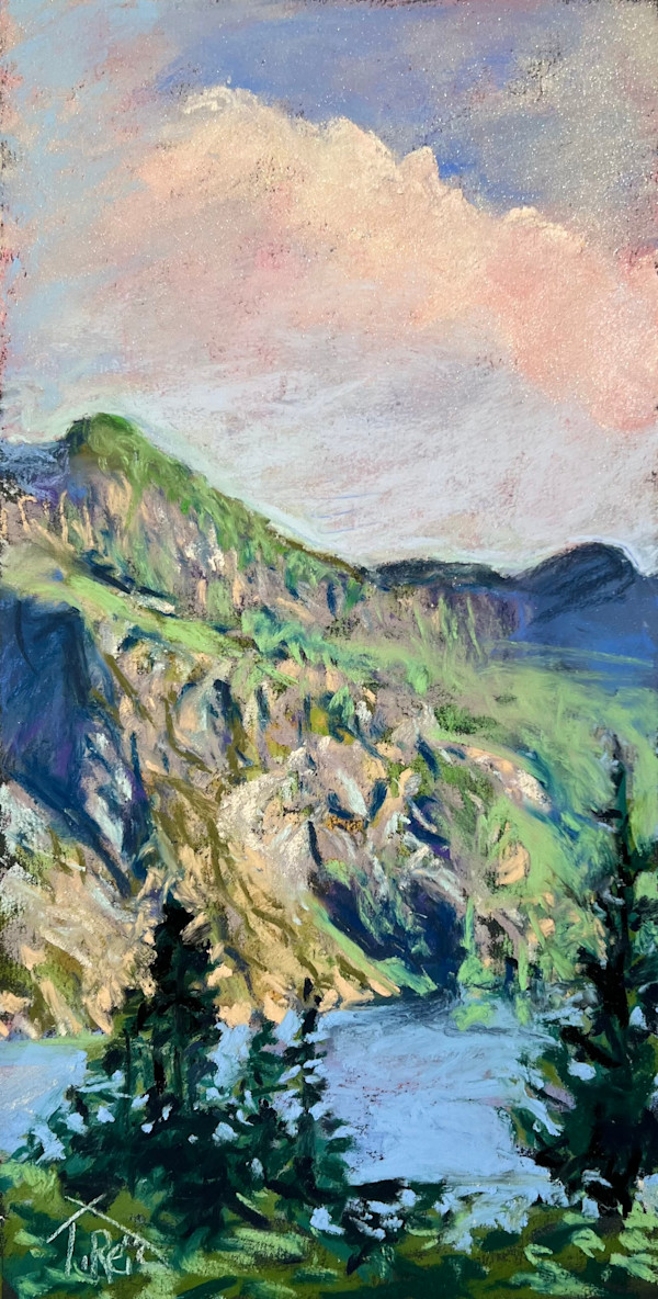 24/220. THE STEADY VIEW by Toby Reid