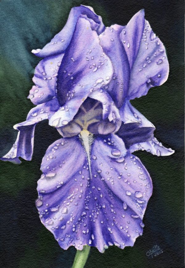 Royal Purple by Aprille Janes