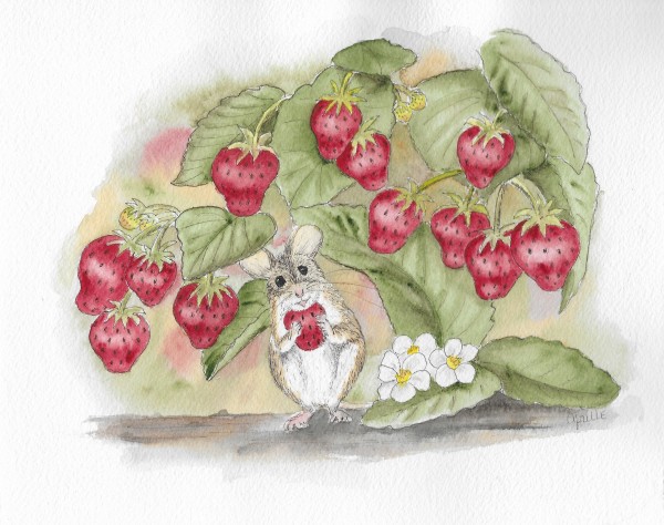 Strawberry Mouse by Aprille Janes