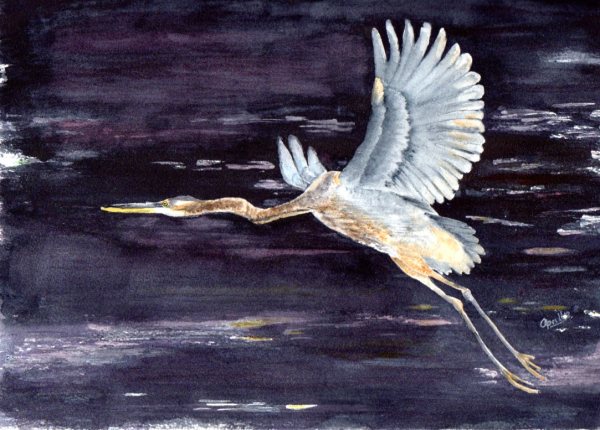 Great Blue Heron at Dusk by Aprille Janes