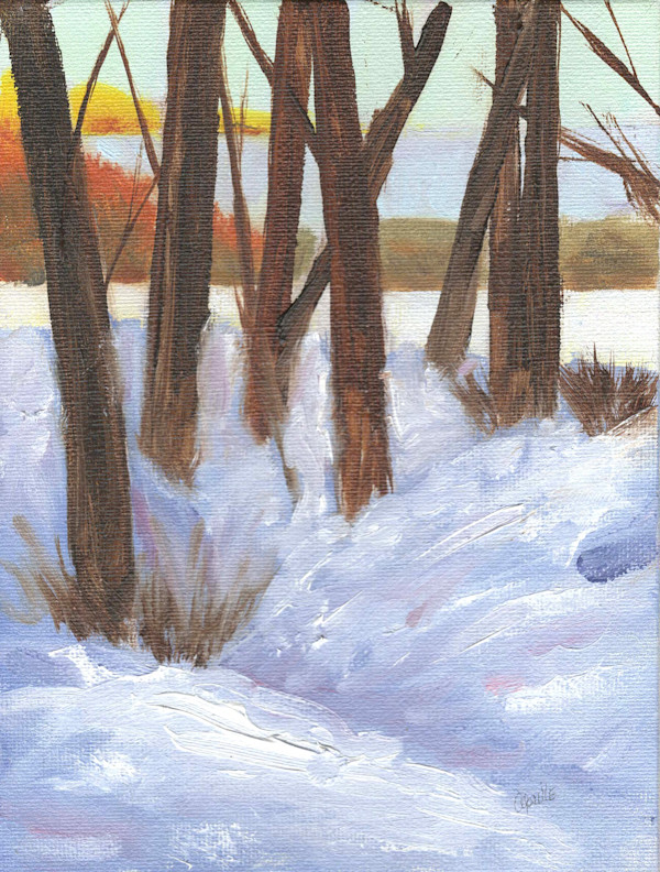 Winter Shadows by Aprille Janes