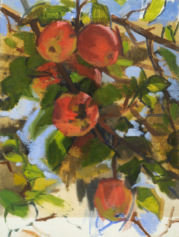 Monhegan Apple Tree - Plein Air by Phoebe Twichell Peterson