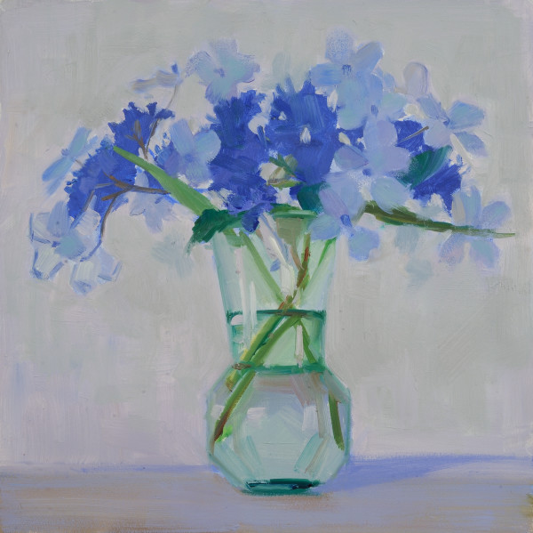 Blue Lace Cap Hydrangea by Phoebe Twichell Peterson