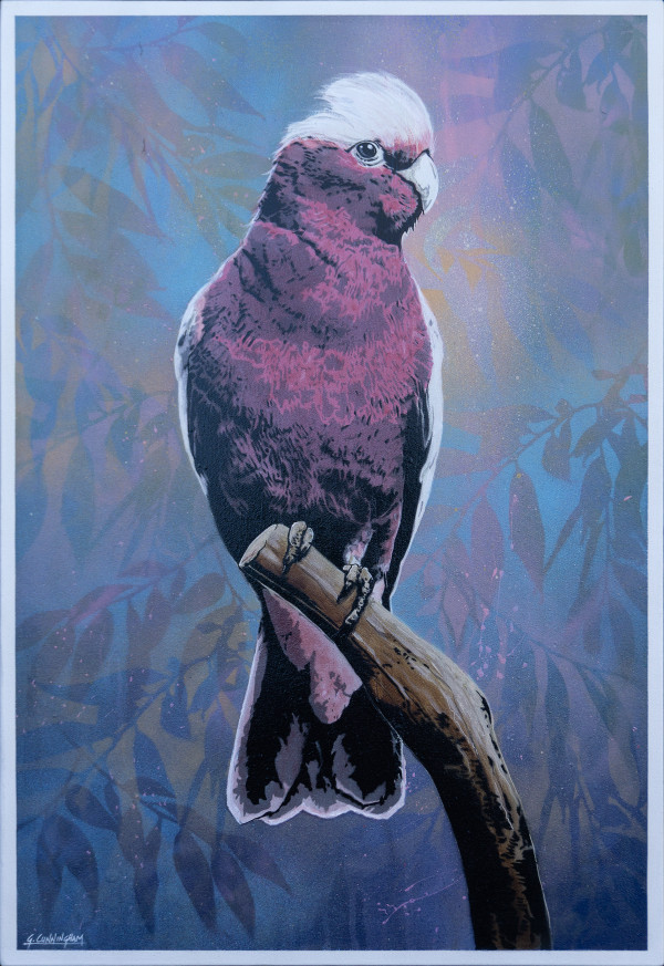 Cedric by Geoff Cunningham