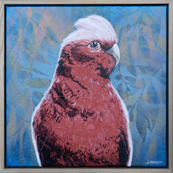 Silly Bloody Galah by Geoff Cunningham