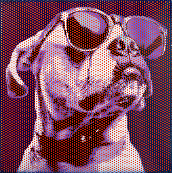 The Boxer 2 by Geoff Cunningham