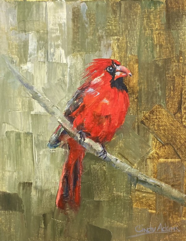 Cardinal by Cindy Adams