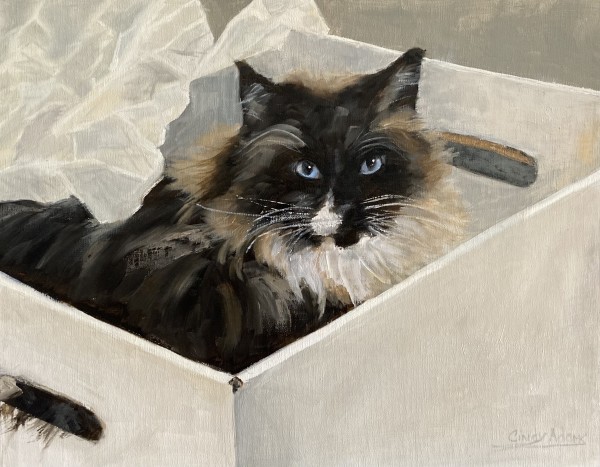 Mitzie by Cindy Adams