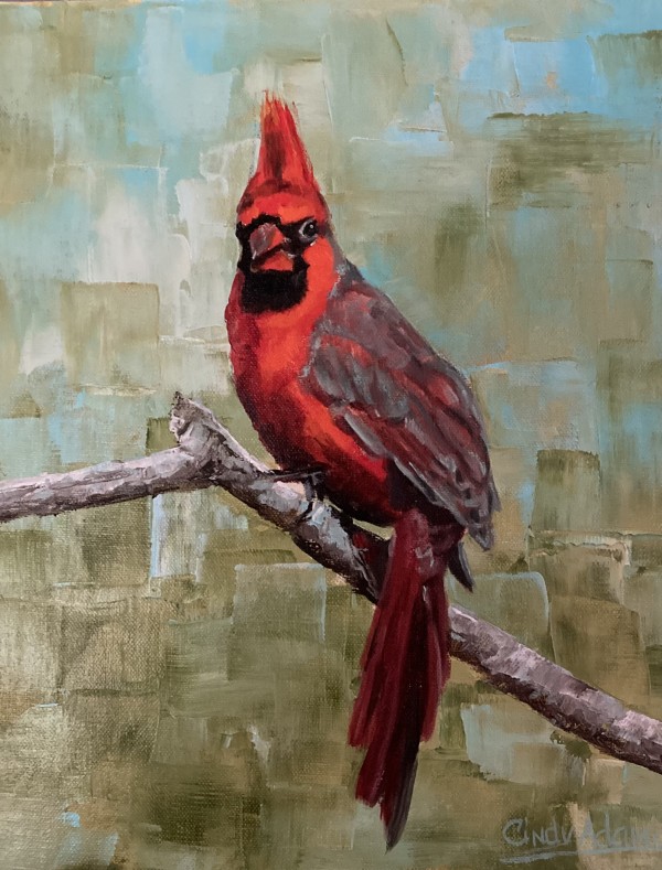 Curious Red by Cindy Adams