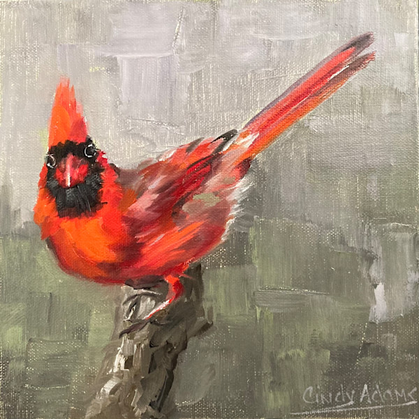 Cardinal III by Cindy Adams