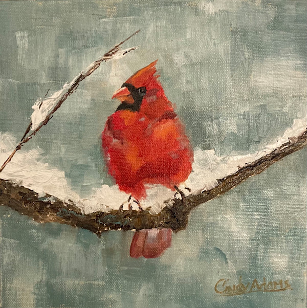 Cardinal in Winter 2 by Cindy Adams